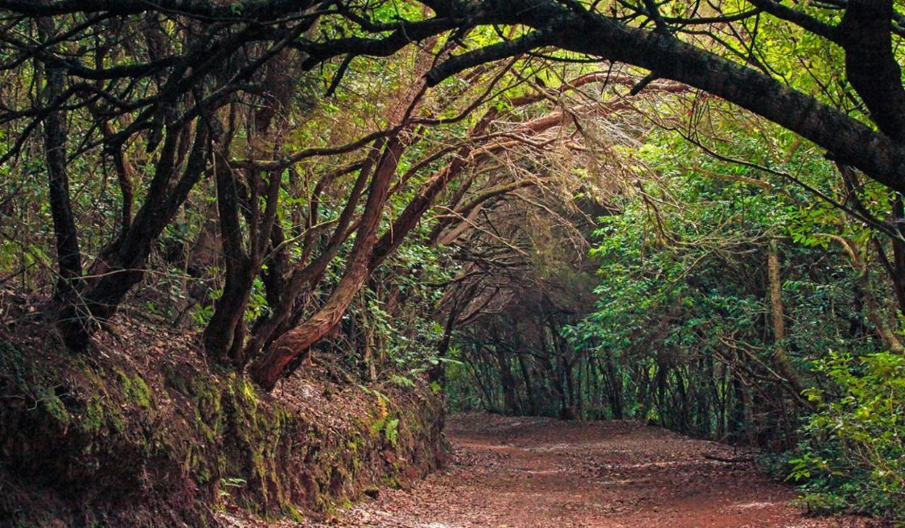 Almendro Villa Arico Viejo Bagian luar foto